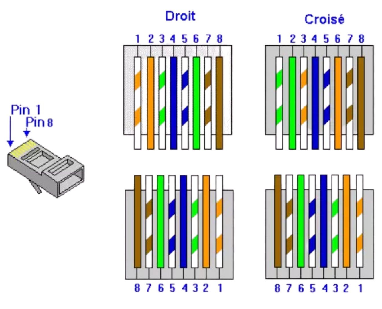 Connecteurs de câbles droits et croisés